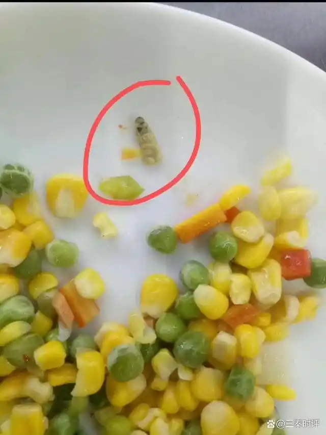 陜西一學(xué)校餐廳吃出異物?不實(shí)